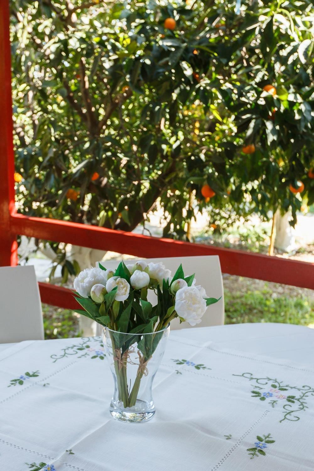 Cottonclub Villas Tolón Eksteriør bilde
