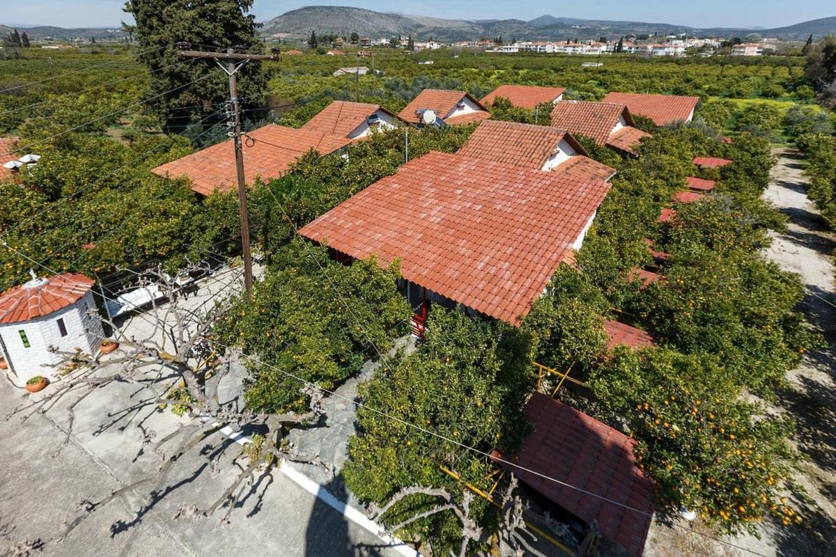 Cottonclub Villas Tolón Eksteriør bilde