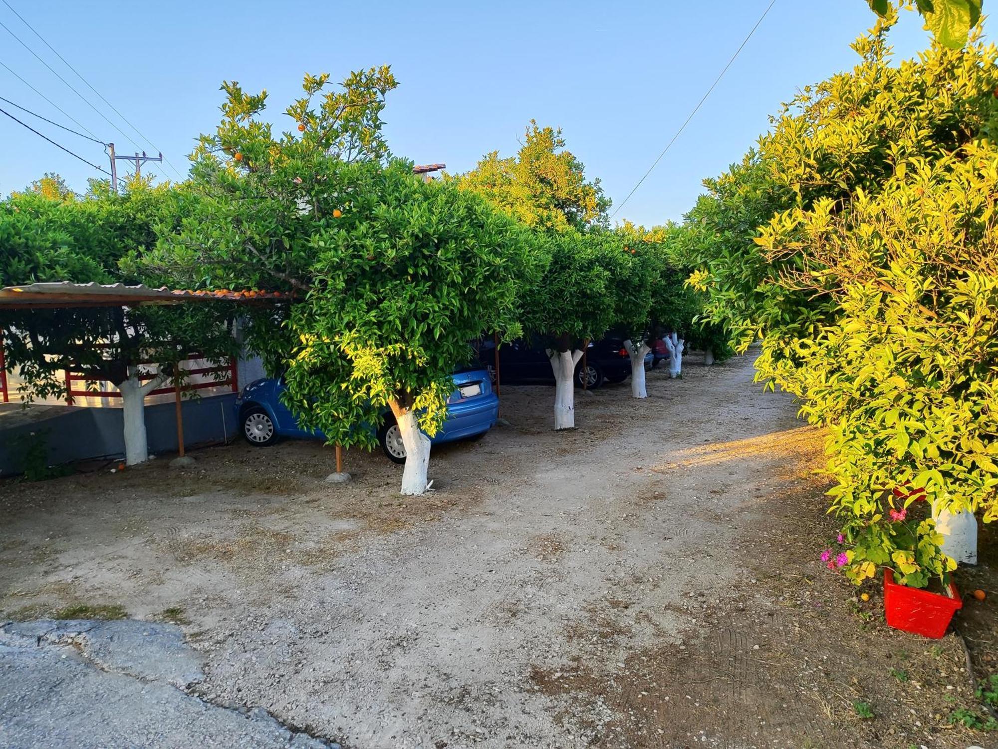Cottonclub Villas Tolón Eksteriør bilde